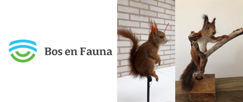 Bos en Fauna gebruikt DX binddraad in taxidermie